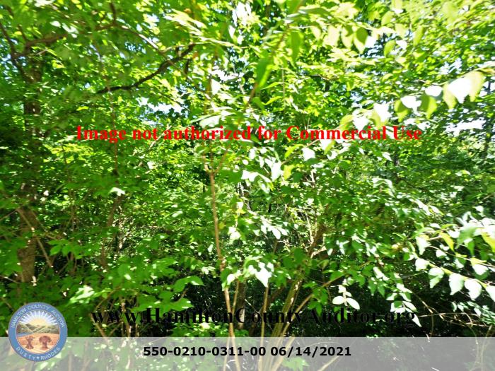 Photo 06/14/2021